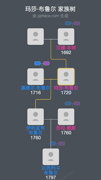 玛莎·布鲁尔家族树全览