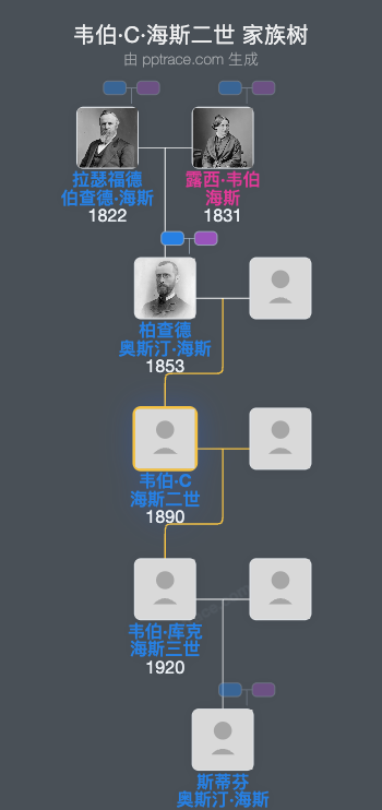 韦伯·C·海斯二世家族树全览