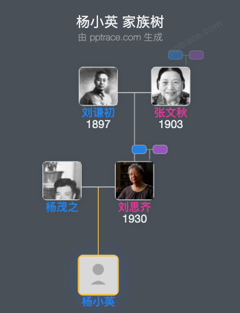 杨小英 家族树全览