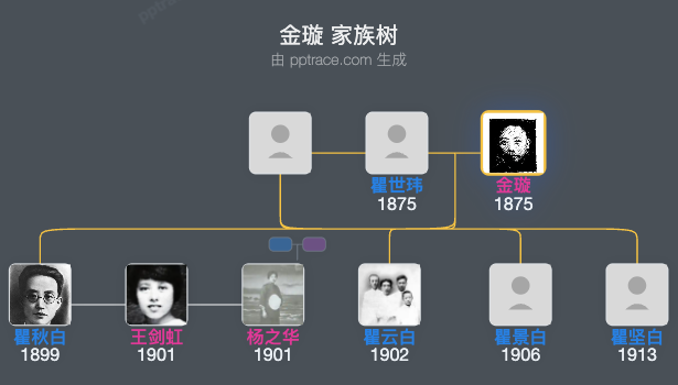 金璇 家族树全览