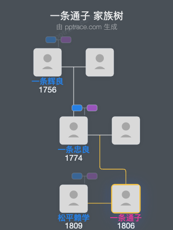 一条通子家族树全览