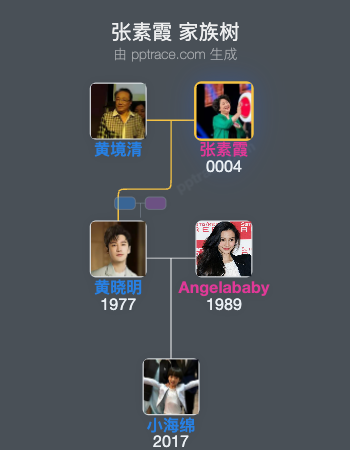 张素霞 家族树全览