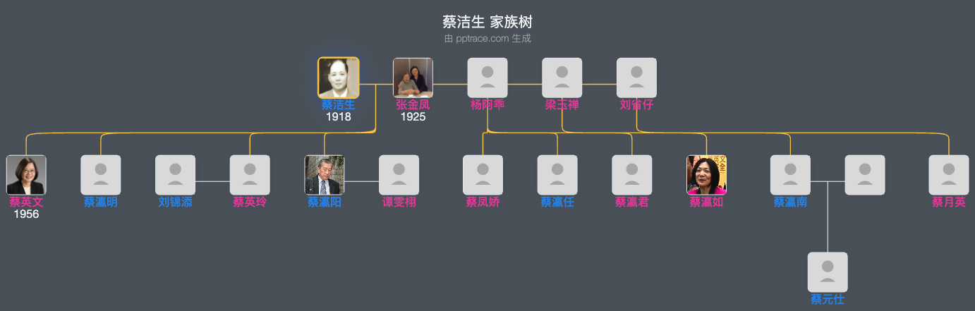 蔡洁生家族树全览