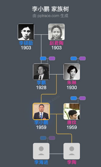 李小鹏 家族树全览