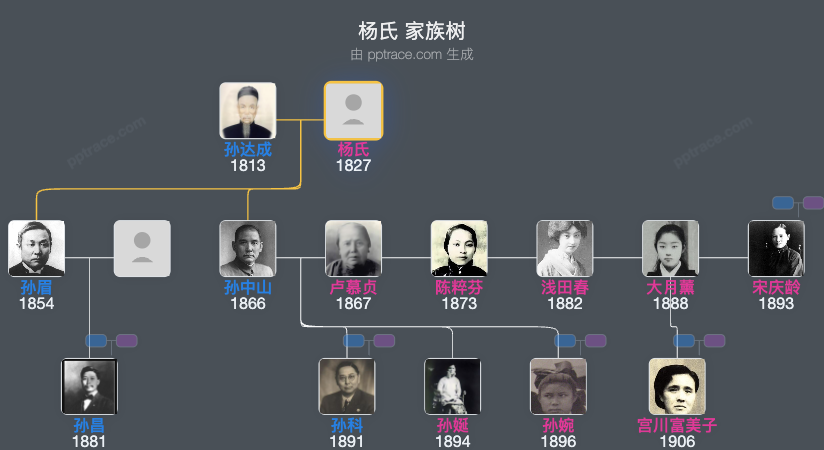 杨氏家族树全览