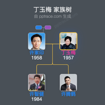 丁玉梅 家族树全览