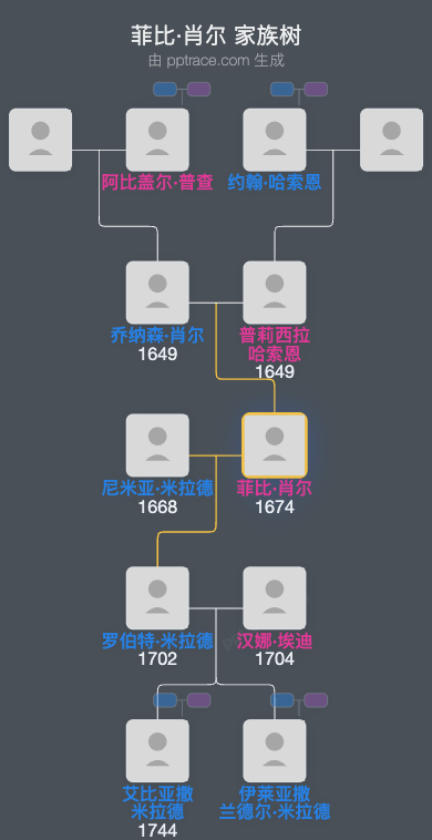 菲比·肖尔家族树全览