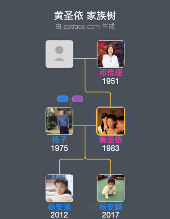 黄圣依 家族树全览