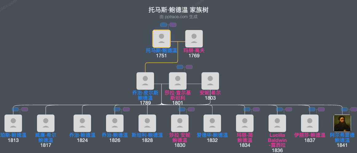 托马斯·鲍德温家族树全览