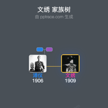 文绣家族树全览