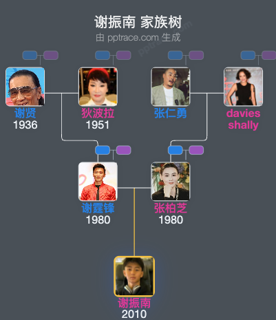谢振南 家族树全览