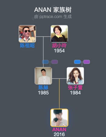 ANAN 家族树全览