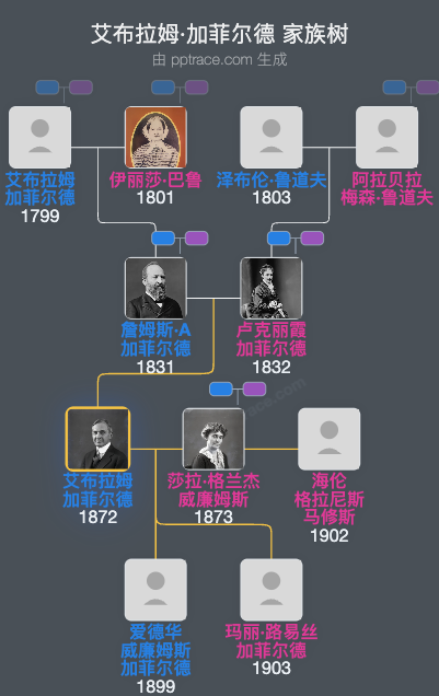 艾布拉姆·加菲尔德家族树全览