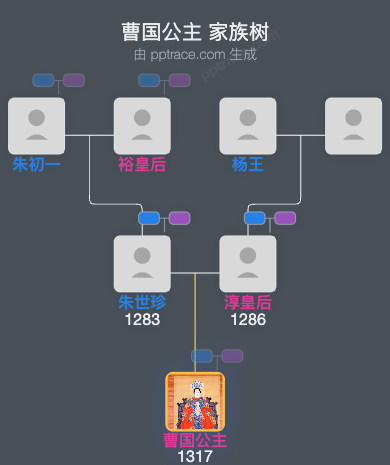 曹国公主家族树全览