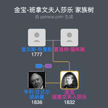 金宝-班拿文夫人莎乐家族树全览
