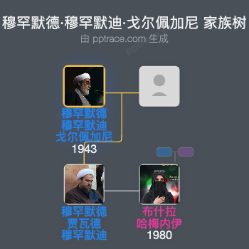 穆罕默德·穆罕默迪·戈尔佩加尼家族树全览