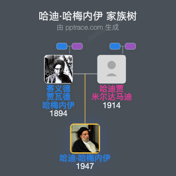 哈迪·哈梅内伊家族树全览
