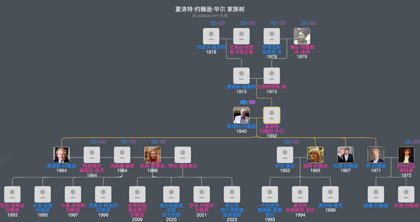 夏洛特·约翰逊·华尔家族树全览