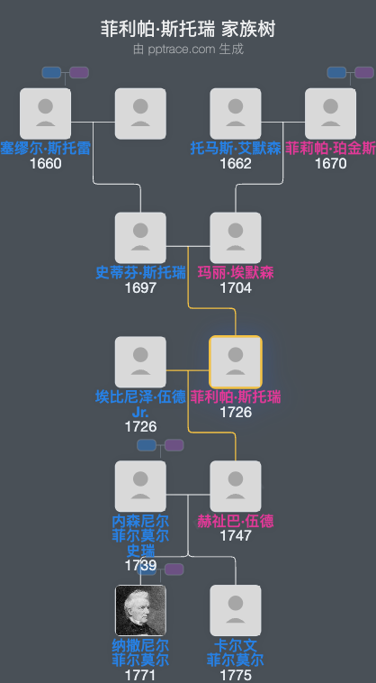 菲利帕·斯托瑞家族树全览