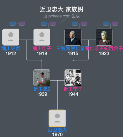 近卫忠大家族树全览