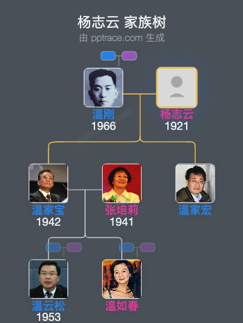 杨志云 家族树全览