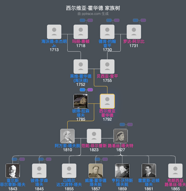 西尔维亚·霍华德家族树全览