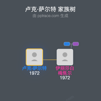 卢克·萨尔特家族树全览