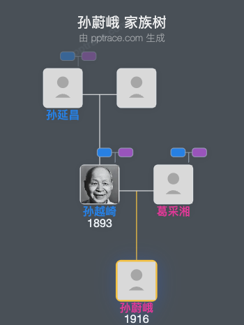 孙蔚峨 家族树全览