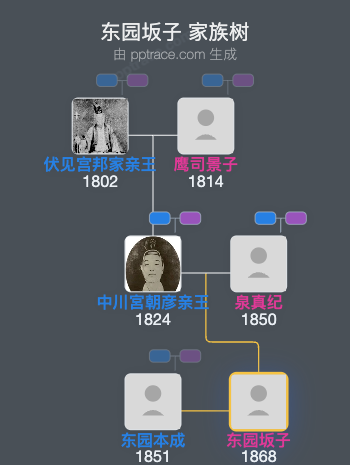东园坂子家族树全览