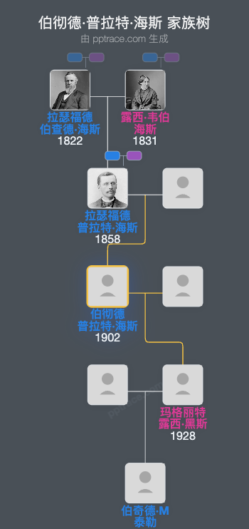 伯彻德·普拉特·海斯家族树全览