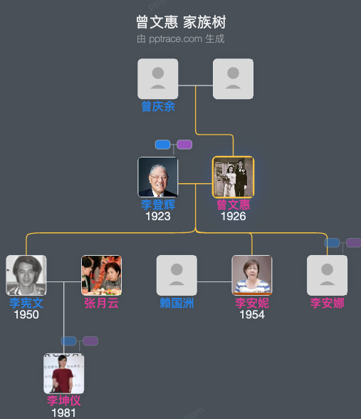 曾文惠家族树全览
