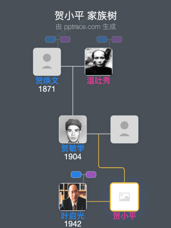 贺小平 家族树全览