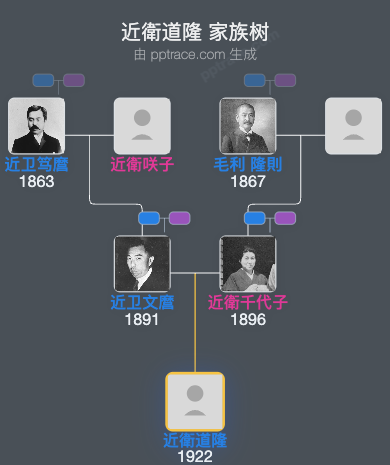 近衛道隆家族树全览