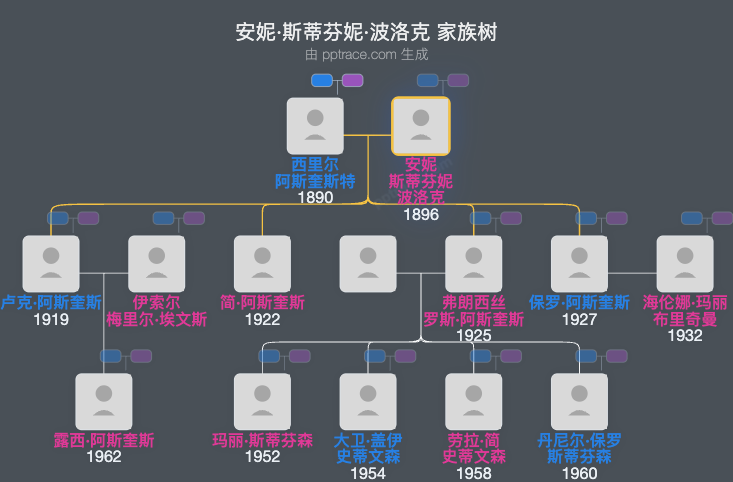 安妮·斯蒂芬妮·波洛克家族树全览