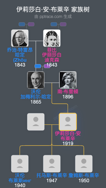 伊莉莎白·安·布莱辛家族树全览