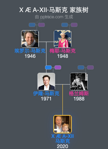 X Æ A-Ⅻ·马斯克 家族树全览