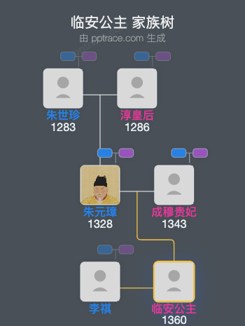 临安公主家族树全览