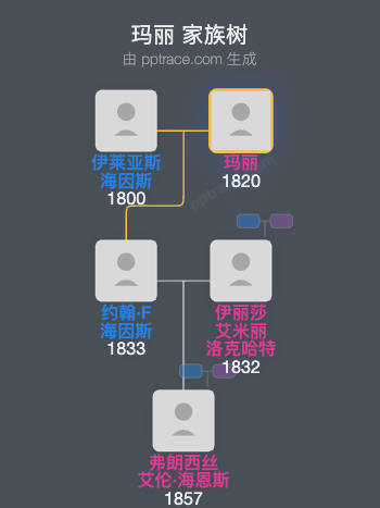 玛丽家族树全览