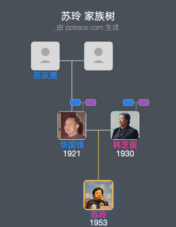苏玲 家族树全览