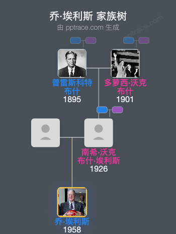 乔·埃利斯家族树全览