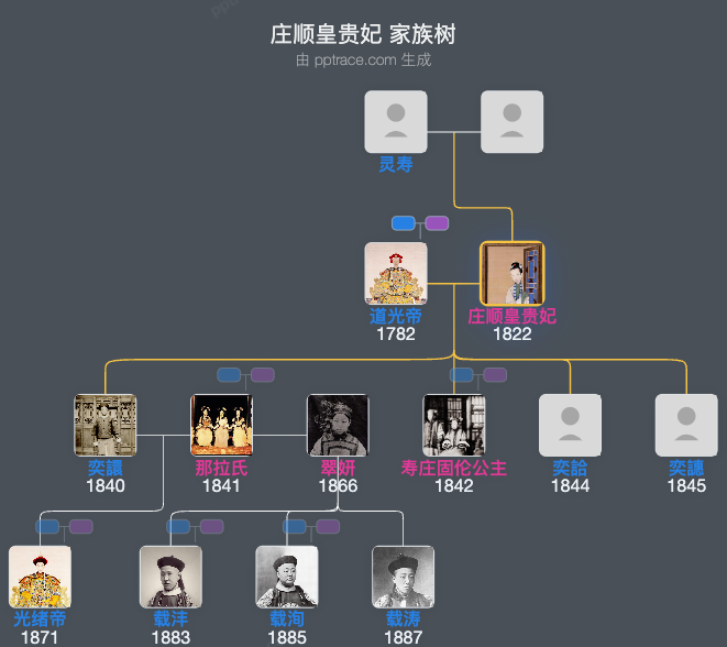 庄顺皇贵妃家族树全览