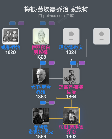 梅根·劳埃德·乔治家族树全览