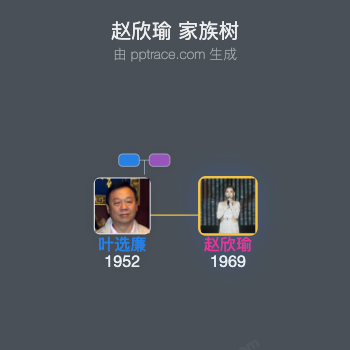 赵欣瑜 家族树全览
