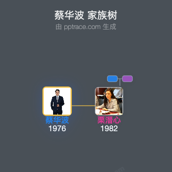 蔡华波 家族树全览