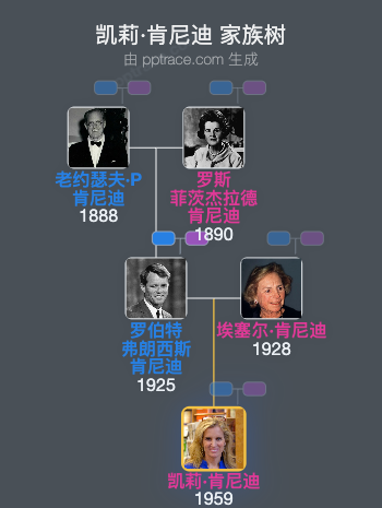 凯莉·肯尼迪家族树全览