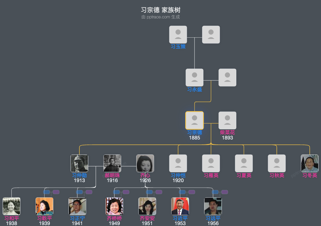 习宗德 家族树全览