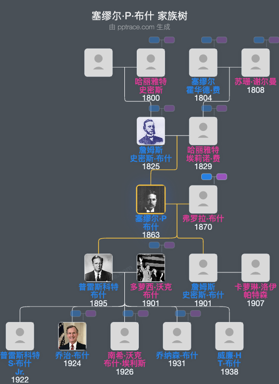塞缪尔·P·布什家族树全览