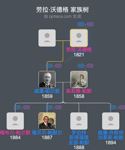 劳拉·沃德格家族树全览