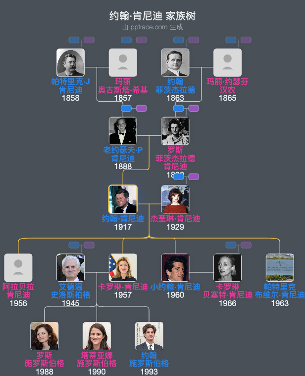 约翰·肯尼迪家族树全览