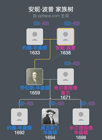 安妮·波普家族树全览